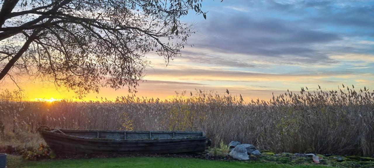 Ferienwohnung Joesuu Puhkemaja Saunamaja Verevi Exterior foto