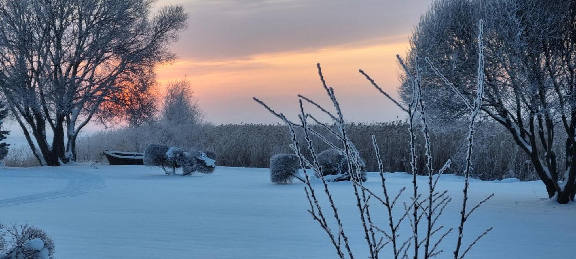 Ferienwohnung Joesuu Puhkemaja Saunamaja Verevi Exterior foto